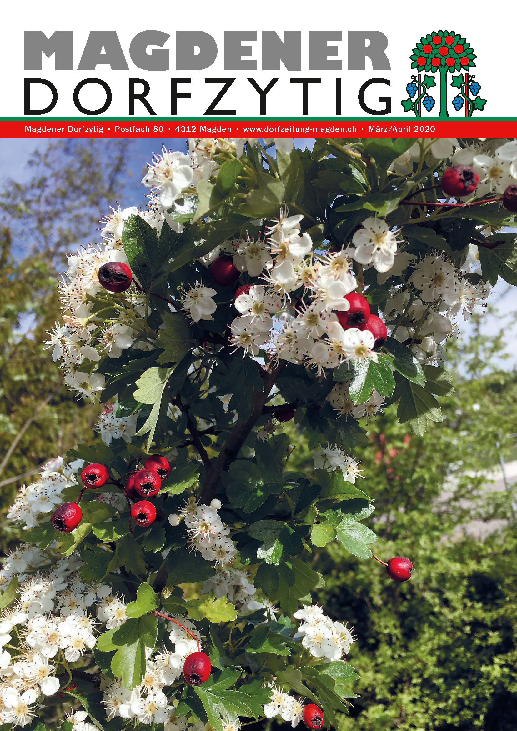 Ausgabe 73