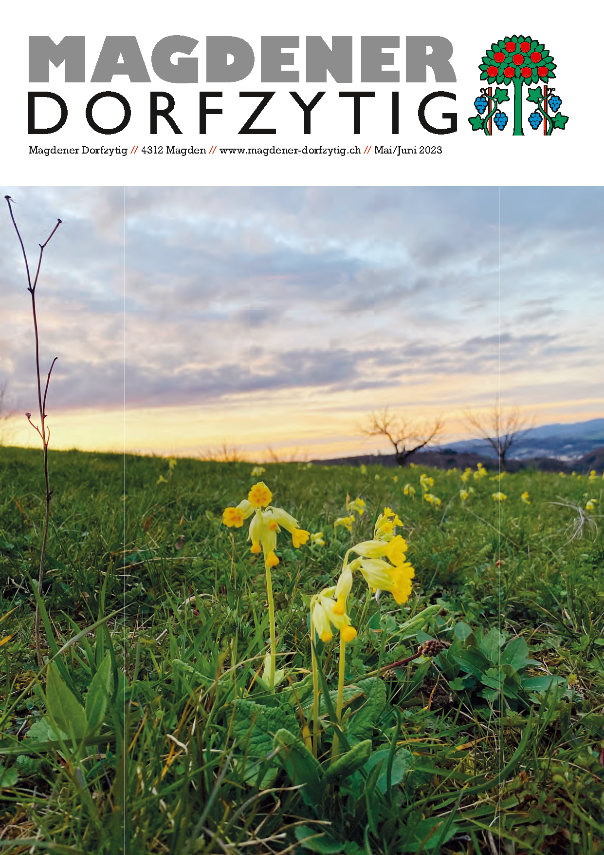 Ausgabe 92